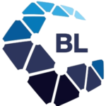 bl it services